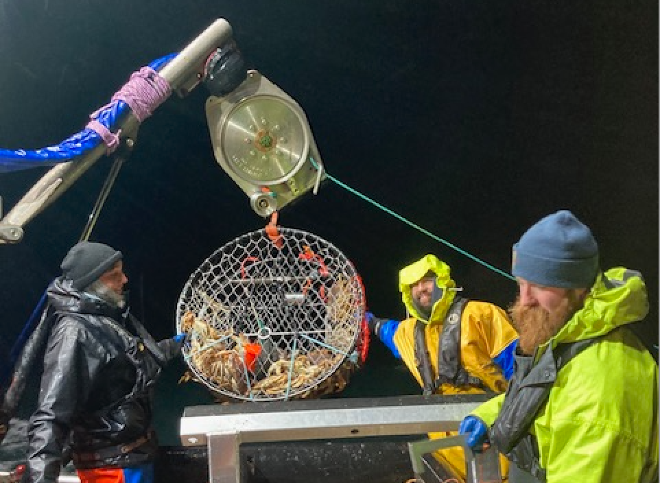 Three fisherman stand on a boat at nightime. They are displaying their catch (crabs) in a hoop net.